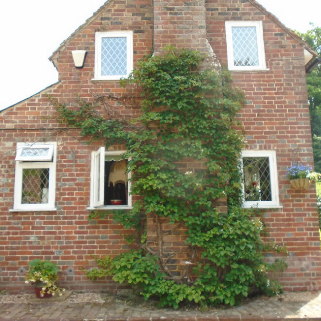 side of frogs & old chimney June 22 2